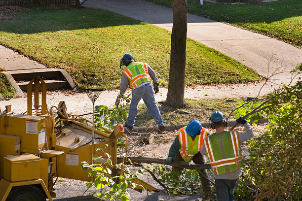 Soil Testing and Treatment in Des Moines, WA